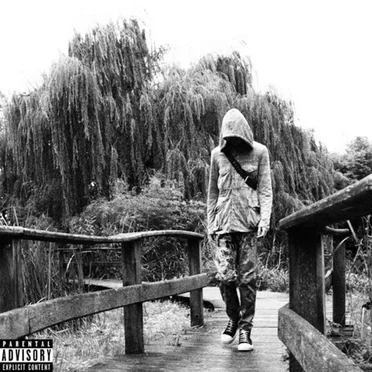 Serane meets CashCache by Serane - album cover