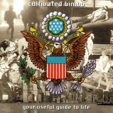 Your Usefull Guide to Life by Cultivated Bimbo - album cover