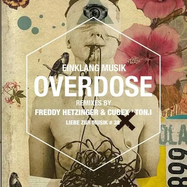 Overdose by Einklang Musik - album cover