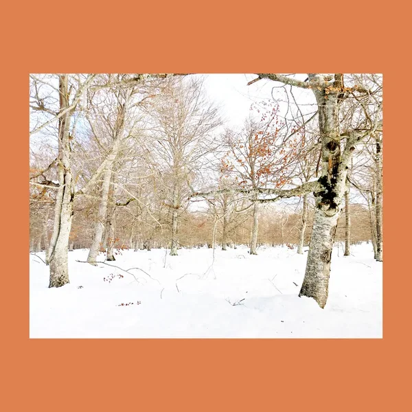 Uit het einde kroop leed een nieuw seizoen tegemoet