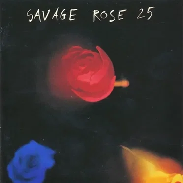 25