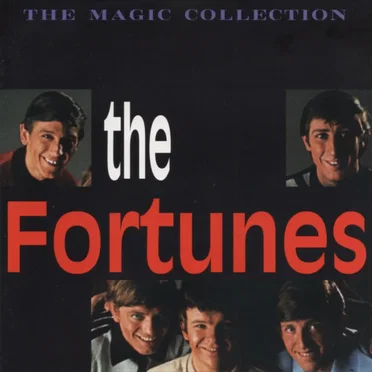 The Magic Collection by The Fortunes - album cover