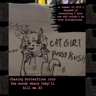 chasing butterflies into the woods where they'll kill me X3 by in summer of 2019 i dreamed of everything i have now and i couldnt be more disappointed - album cover