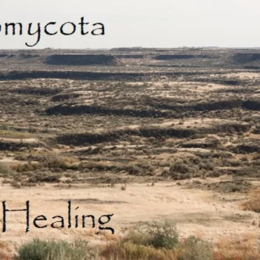 Healing