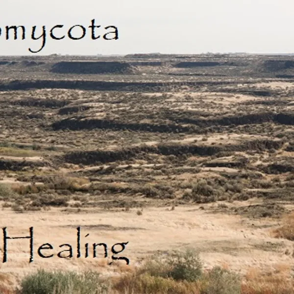 Healing