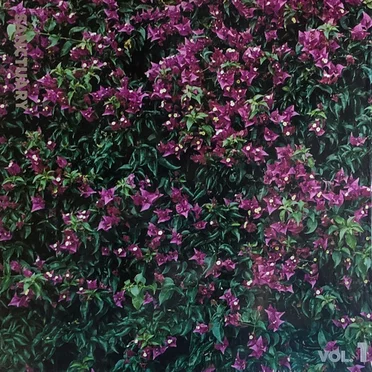 Sanctuary, Vol. 1: 78violet (The Unreleased Record)