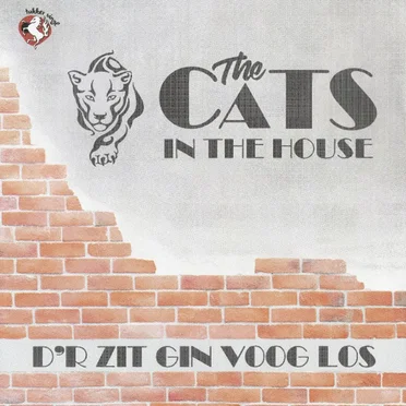 D'r zit gin voog los / Ik kom naar huis