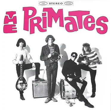 We Are The Primates