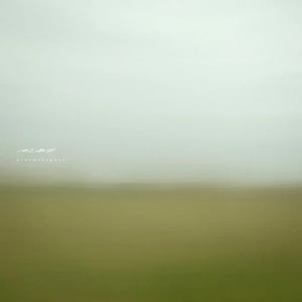 風解