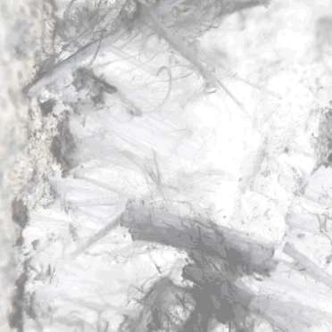 Asbestos Exposure