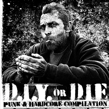 D.I.Y. OR DIE by Various Artists - album cover