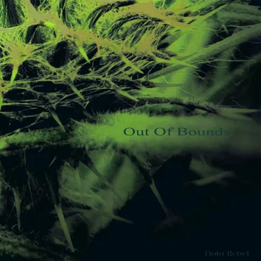 Out of Bounds