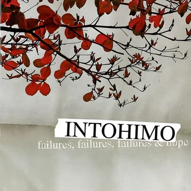 Failures, Failures, Failures & Hope by Intohimo - album cover