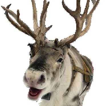 Rudolph Chewed Off