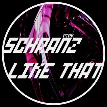 Schranz Like That by PTRK - album cover