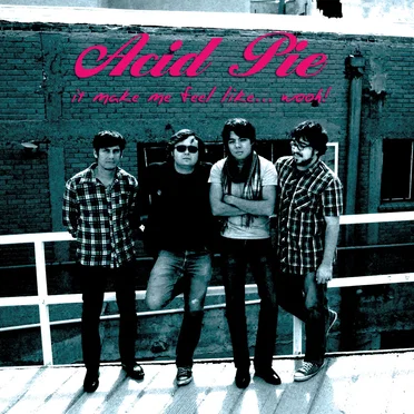 It Make Me Feel Like... Wooh! by Acid Pie - album cover