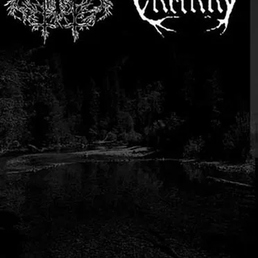 Return To Mysterious Forest