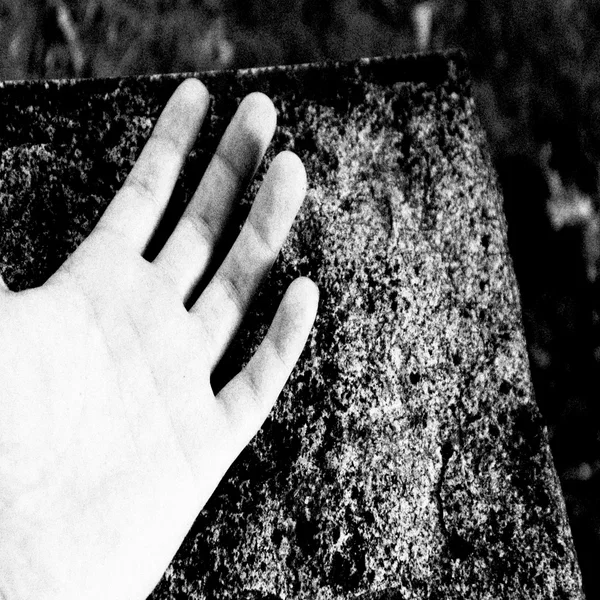 Lifeless Grey