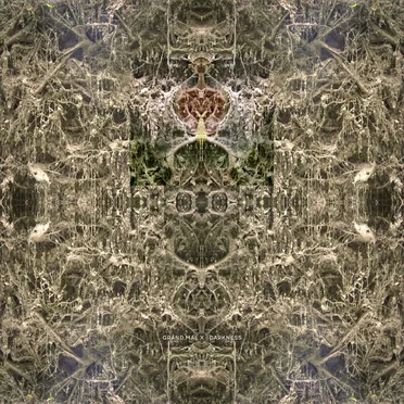 Darkness by Grand Mal x - album cover