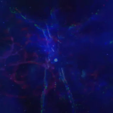⋆｡𖦹°⭒˚｡𝕄𝓔T∀𝓶ⓞᖇ𝐩𝐇Øs𝕚𝓢｡𖦹°⭒˚｡⋆