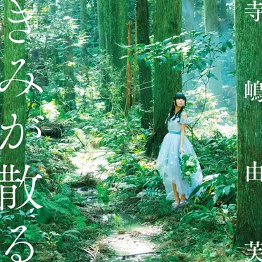 きみが散る