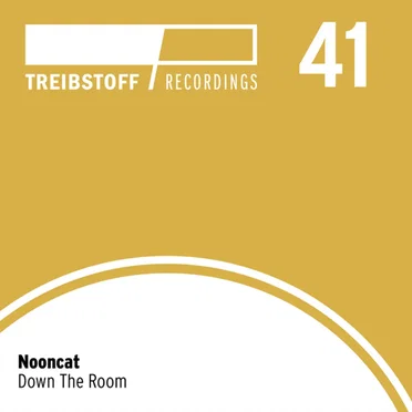 Down the Room by Nooncat - album cover