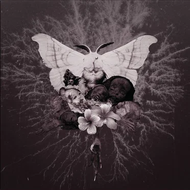 Celestial Grave