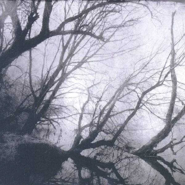 Knowing No Dawn