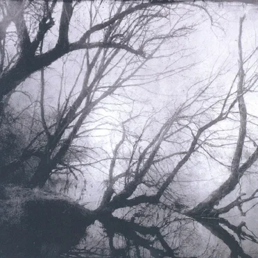 Knowing No Dawn