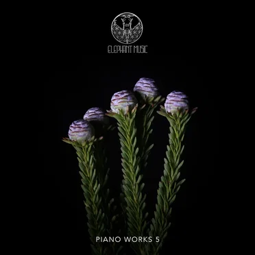 Piano Works 5