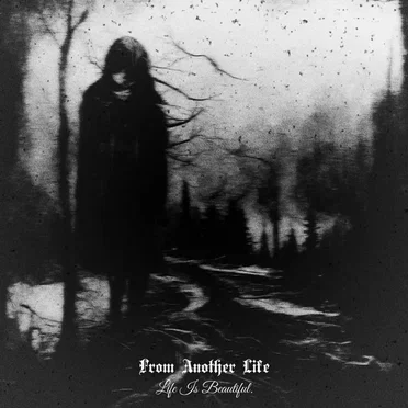 Life Is Beautiful. by From Another Life - album cover