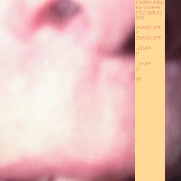 Halloween Split Series 16.5 by 2348902 Sipp - album cover