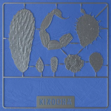 Deserted / Reclaimed by Kindohm - album cover