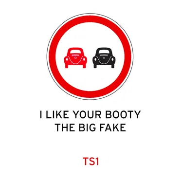 I Like Your Booty / The Big Fake