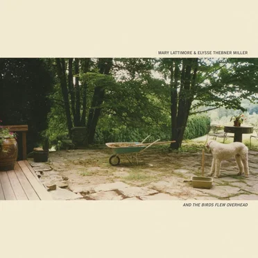 And the Birds Flew Overhead