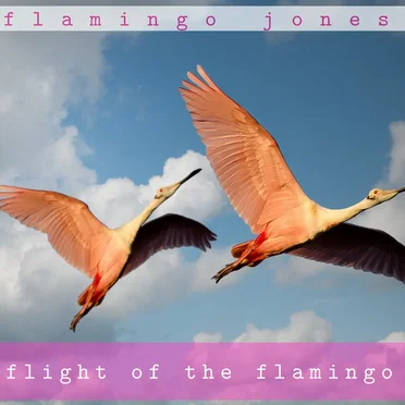 Flight of the Flamingo