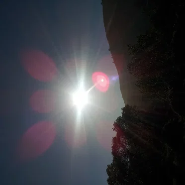 Sunny