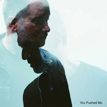 You Pushed Me by Wide Mouth Mason - album cover
