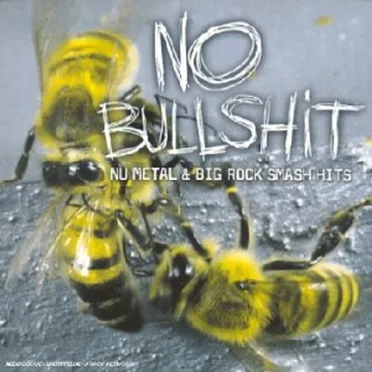 No Bullshit: Nu Metal & Big Rock Smash Hits by Various Artists - album cover