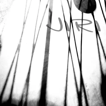 Life phenomena by JIRI - album cover