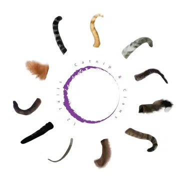 12 Tails by Catnip and Claws - album cover