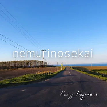nemurinosekai by Kenji Fujiwara - album cover