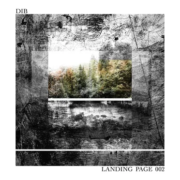 Landing Page 002 by DIB - album cover