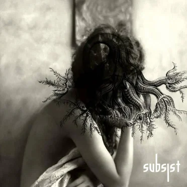 Krampfreaktion by The Fifth Stigma - album cover