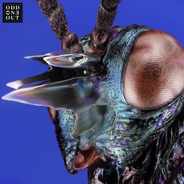 Nova (Cassian remix)