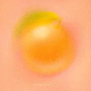 오렌지빛을 쥐고