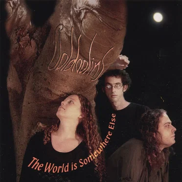 The World Is Somewhere Else by Goldoolins - album cover