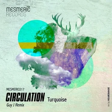 Turquoise by Circulation - album cover