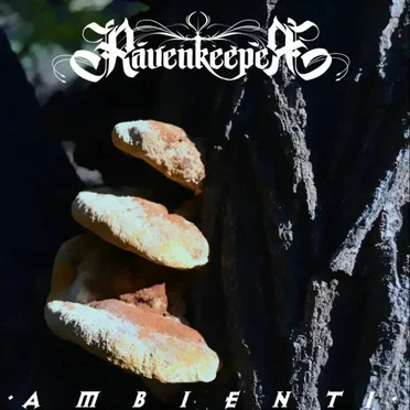 Ambient I