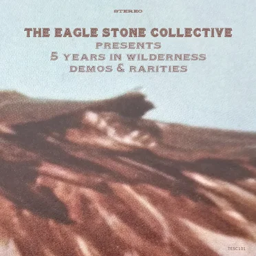 5 Years in Wilderness by Various Artists - album cover